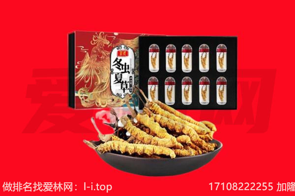 高安市回收虫草.jpg